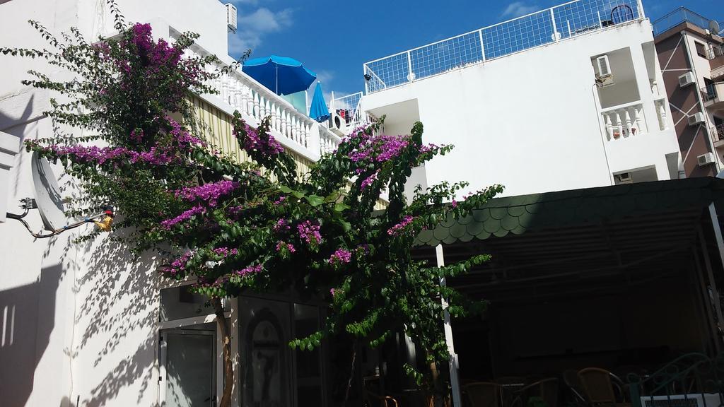Miron Apart&Rooms Rafailovici Exterior photo